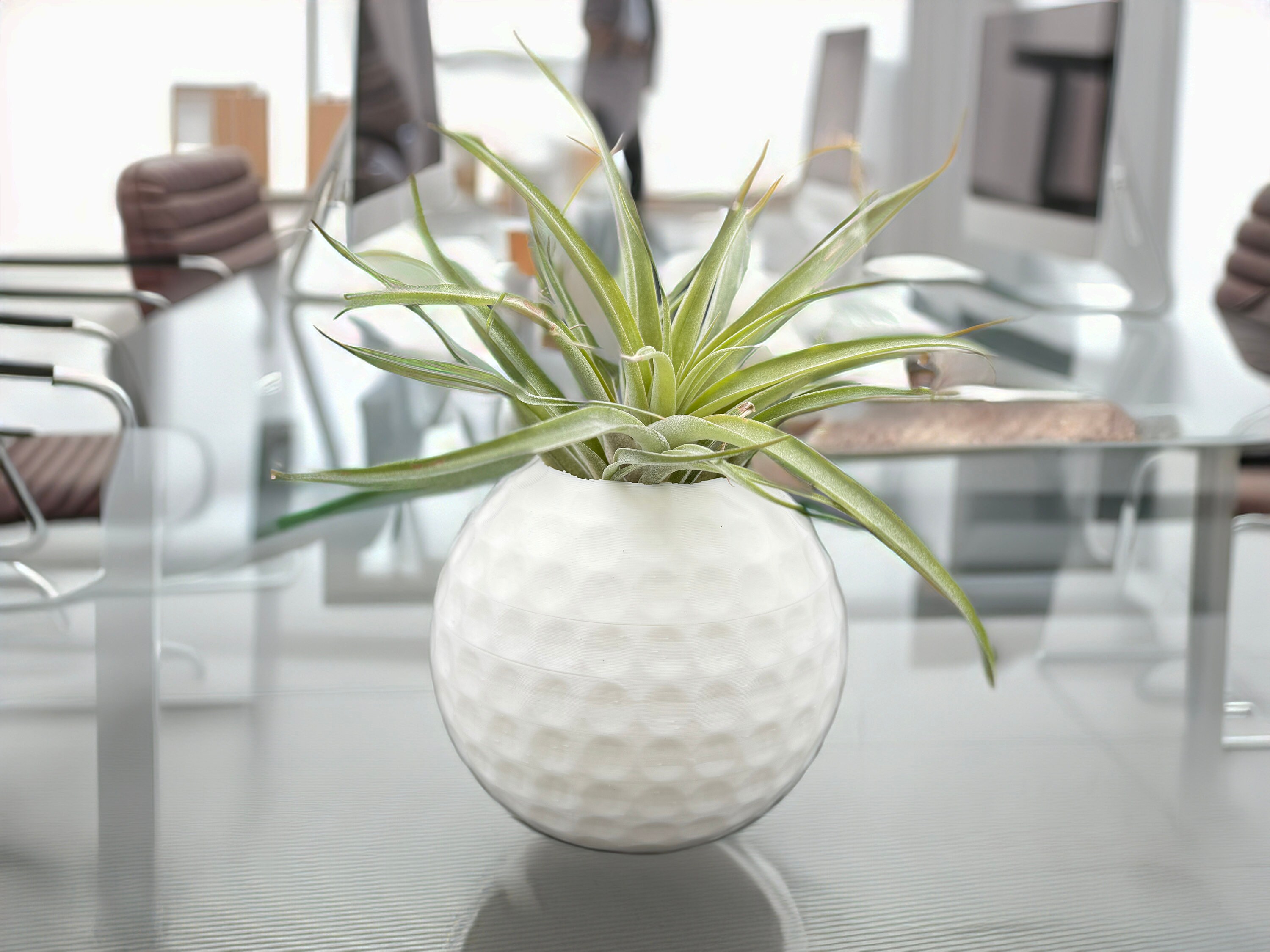 large plastic planting pots 7-Inch White Plastic Pot and Saucers for Indoor and Outdoor Plants at  Planet Desert