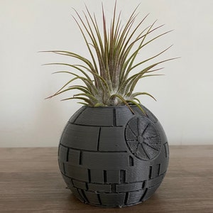 Death Star Wars Air Plant Display Desk Table Top Planter Drop Proof Modern Decor decorative Plant with Live Airplant Tillandsia