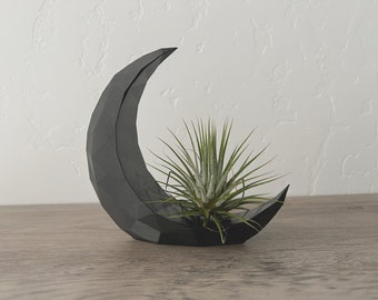 Dark Crescent Moon Fantasy Black Air Plant Stand Display Desk Planter Drop Proof Modern Decor decorative Plant with Live Airplant Tillandsia