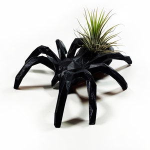 Black Spider Air Plant Planter: Halloween Decor with Live Tillandsia