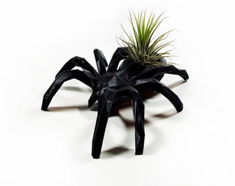 Black Spider Air Plant Planter: Halloween Decor with Live Tillandsia