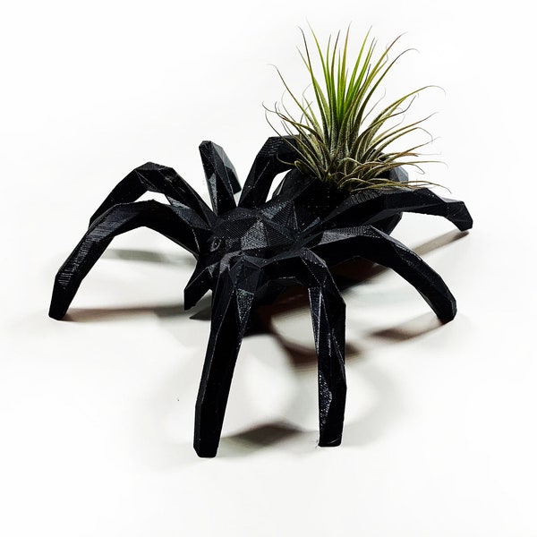 Mini Spider Black Air Plant Display Desk Halloween Planter Drop Proof Modern Decor decorative Plant with Live Airplant Tillandsia