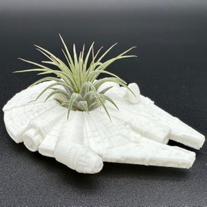 May include: White ceramic planter shaped like the Millennium Falcon spaceship from Star Wars, with a small air plant growing inside.