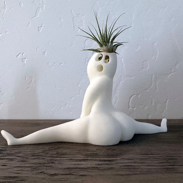 Funny Halloween Big Booty Ghost Planter "Horrors in this House" Hilarious Air Plant Display & Gag Gift with Live Airplant Tillandsia