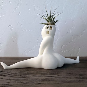 Funny Halloween Big Booty Ghost Planter "Horrors in this House" Hilarious Air Plant Display & Gag Gift with Live Airplant Tillandsia