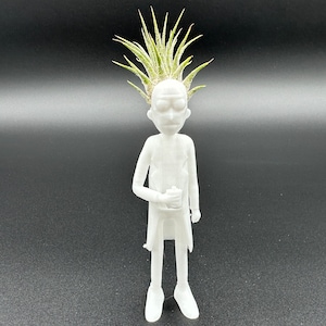 Rick and Morty Inspired Air Plant Stand Sanchez Display Desk Planter Cartoon with Live Airplant Tillandsia