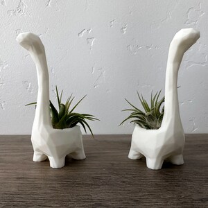 May include: Two white ceramic dinosaur planter pots with green air plants inside. The pots are shaped like a dinosaur with a long neck and a small head.