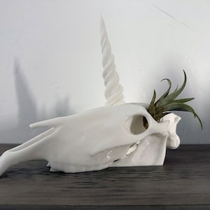 May include: White ceramic unicorn skull planter with a spiraled horn and a small green air plant growing inside.