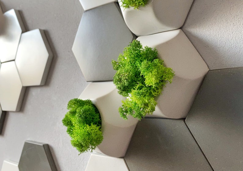 Background Office Wall Installation 3d Wall Panel Etsy