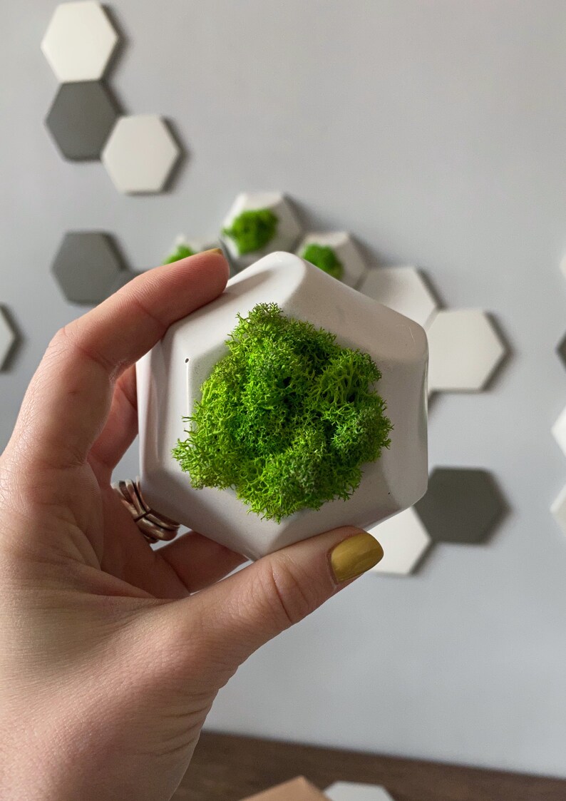 Office Wall Installation Hexagon Wall Art Concrete Wall Decor Etsy