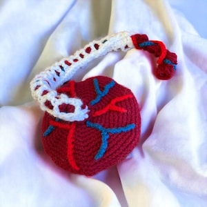 May include: A crocheted heart with red, blue, and white yarn. The heart has a crocheted aorta attached to it.