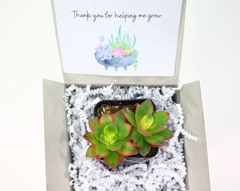 Thank You For Helping Me Grow | Live Succulents Gifts Plant Lovers Succulent Planters Wedding Baby Shower Birthday Party Favor Gift