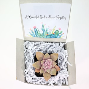 A Beautiful Soul is Never Forgotten | Live Succulents Gifts For Plant Lovers Succulent Planters Wedding Baby Shower Birthday Party Favor