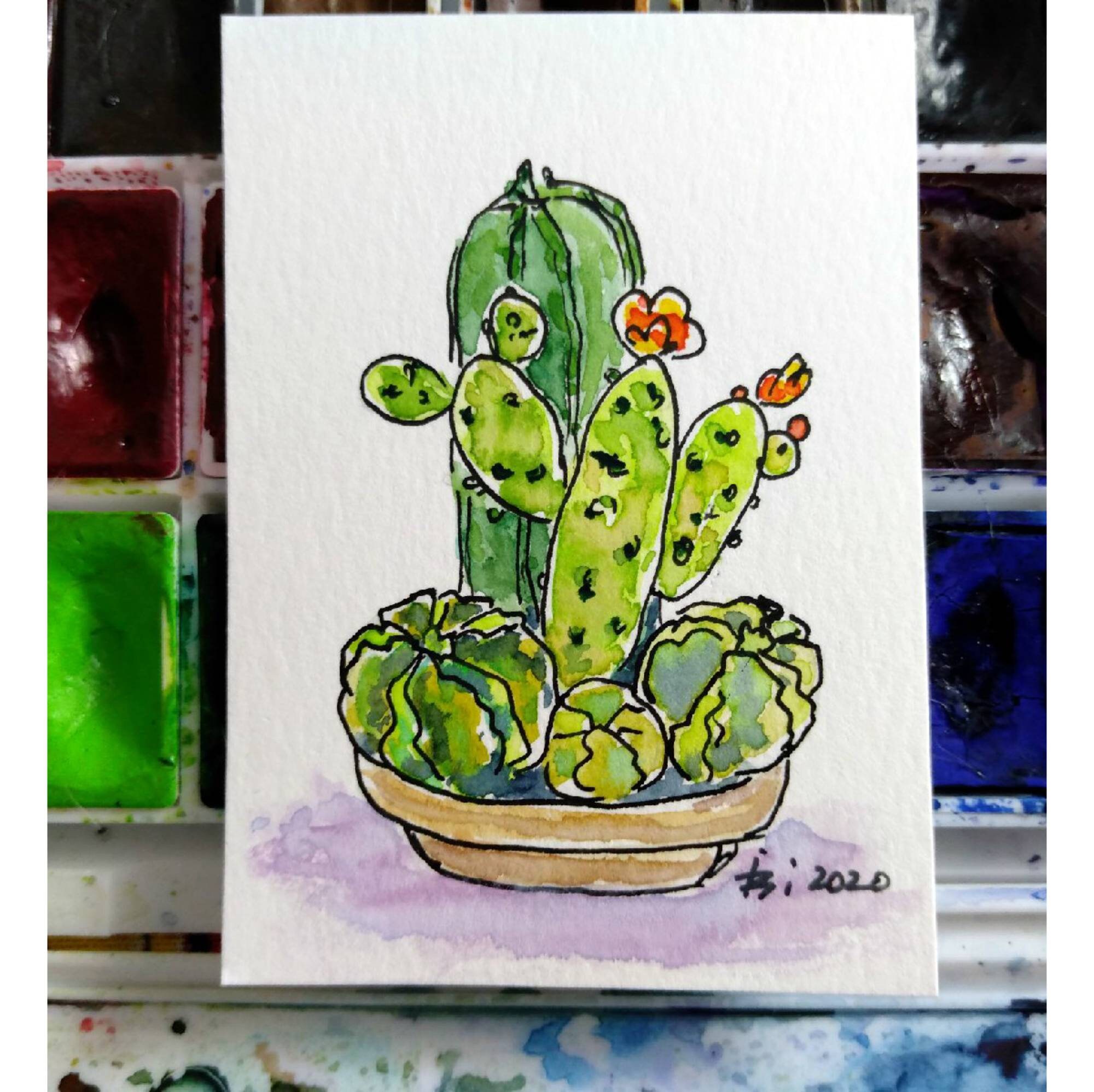Cactus Pot Painting Original ACEO Artwork by IIArtStudio Etsy