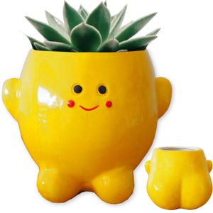 Evovee Yellow Happy Planter Smiling Plant Pot Face Funny Butt Booty Bum Flower Ceramic Cute Faces Plant Fun Succulent Pots Cactus Novelty