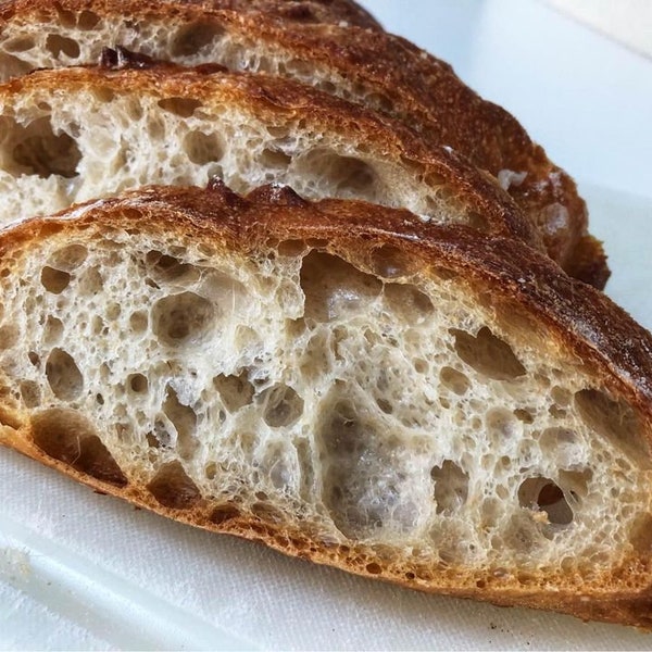 Over 100 Years Old Sourdough Starter Dried San Francisco Bakery Bread Dehydrated Baking Super Active Bubbly Strong  Yeast Loaf