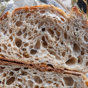 May include: A sliced loaf of sourdough bread with a golden-brown, crispy crust and a light, airy interior crumb featuring large, irregular air pockets. The bread contains visible embedded seeds and grains throughout the dough structure.