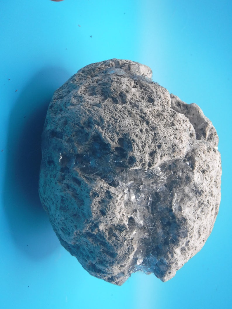 Carved Pumice Rock Planter Designed for Succulents or Air Plants. Air Plant Included Etsy