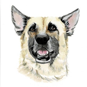 Pintura de acuarela Retrato de perro Retrato de perro personalizado Acuarela Personalizar Regalo de perro Pintura de perro de acuarela para mascota a partir de foto Perro mascota personalizado