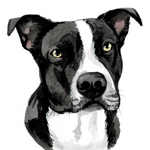 Pintura de perro en acuarela Retrato de mascota en acuarela personalizado Retrato de PERRO Pintura de mascota Retrato de perro a partir de foto Mascota