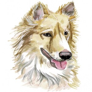 Retrato de mascota en acuarela pintado a mano personalizado Retrato de perro en acuarela Mascotas divertidas y felices Lindas
