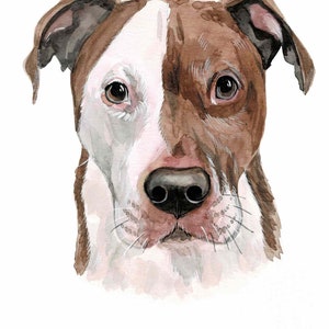 Pintura de mascotas PEEKABOO Retrato de mascota Retrato de perro Regalo para amantes de las mascotas Regalo para la pérdida de una mascota Retrato de mascota personalizado Perro personalizado Dibujo de perro