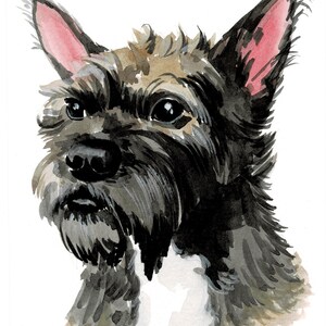 Acuarela original pintura mascotas arte Retrato personalizado de mascotas, Pop Art Retrato de perro, Regalo amante de perros, Pintura de perros, feliz lindo divertido
