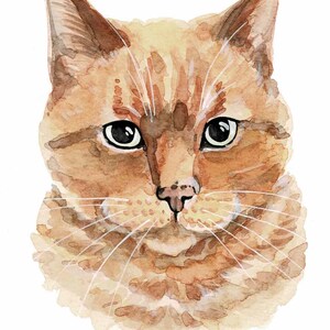 Retrato de gato en acuarela a partir de una foto Dibujo de gato personalizado Regalo para amantes de los gatos Pintura de mascotas Arte de gato en acuarela Gato personalizado