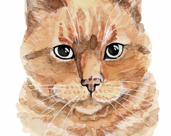 Watercolor Cat Portrait From Photo Personalized Cat Cat Drawing Pet Loss Gift Cat Lovers Pet Painting Watercolor Pet Cat Art Custom Cat