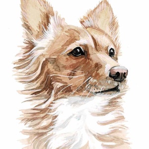 Retrato de mascota en acuarela Retrato de perro personalizado Retrato de mascota en acuarela Pintura de perro personalizada Regalo del día del mes Memorial de perro Acuarela de perro