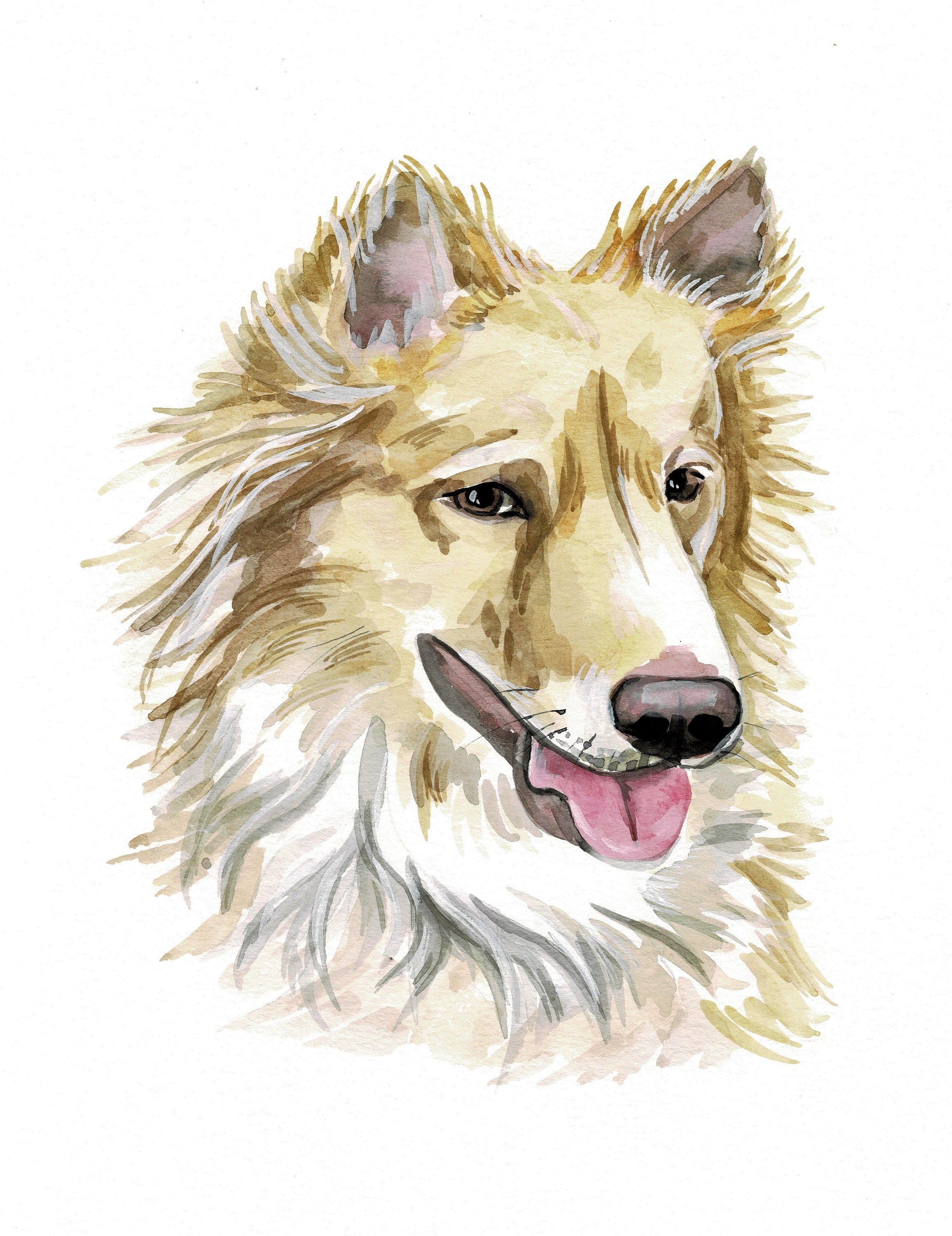 Custom Watercolor Pet Portrait Watercolor Dog Painting Dog Etsy UK
