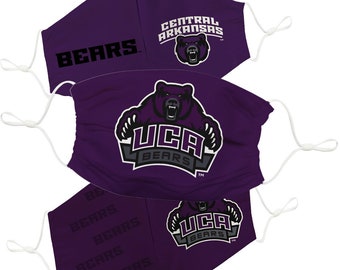 R and R Imports Central Arkansas Bears Wood Sign with Frame