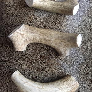 Organic Whitetail Antler Dog Chews