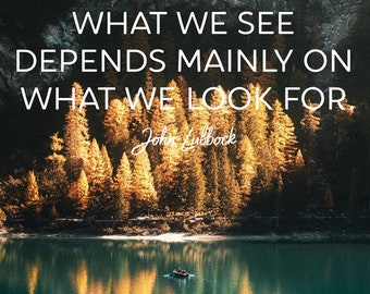 Blue Mind Magnet: "What We See Depends Mainly On What We Look For."