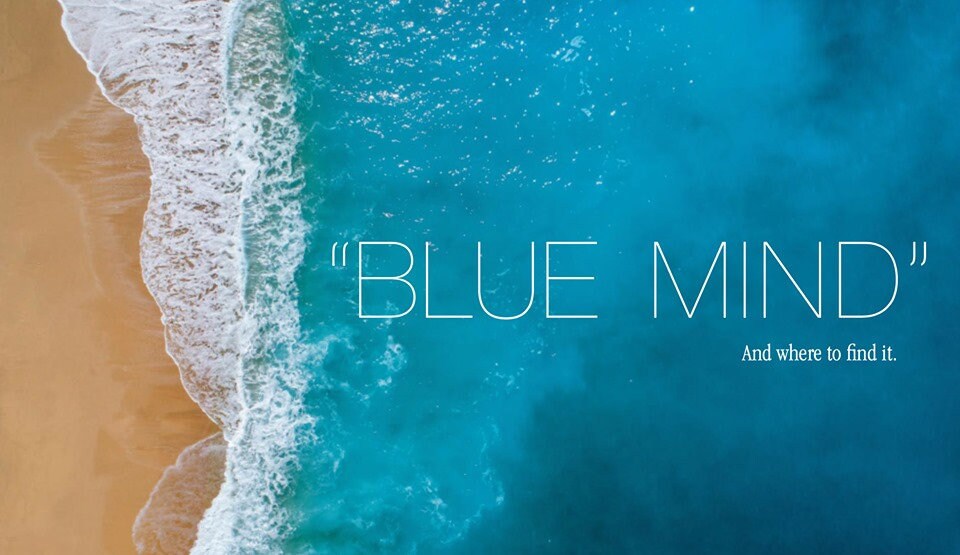 blue mind book blue mind book