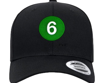 Six Train Embroidered Hat