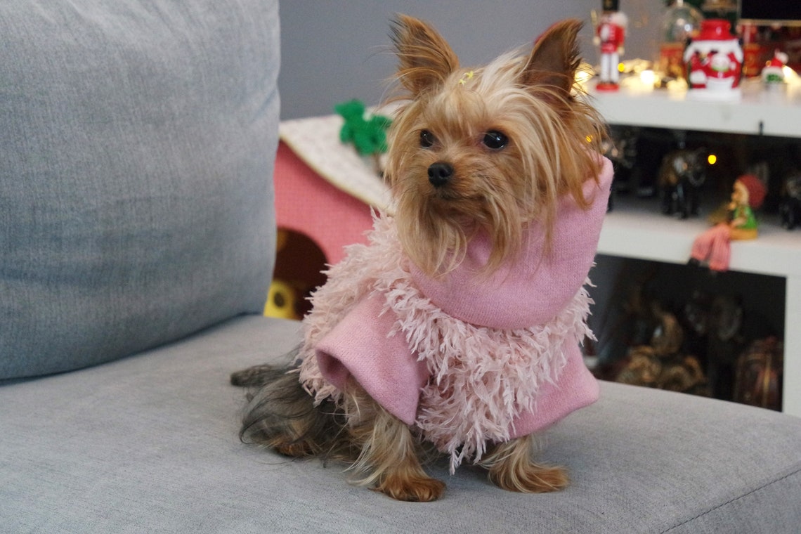 Cute Dog Sweaters Pink Dog Sweater Dog Sweater Small Dog Etsy