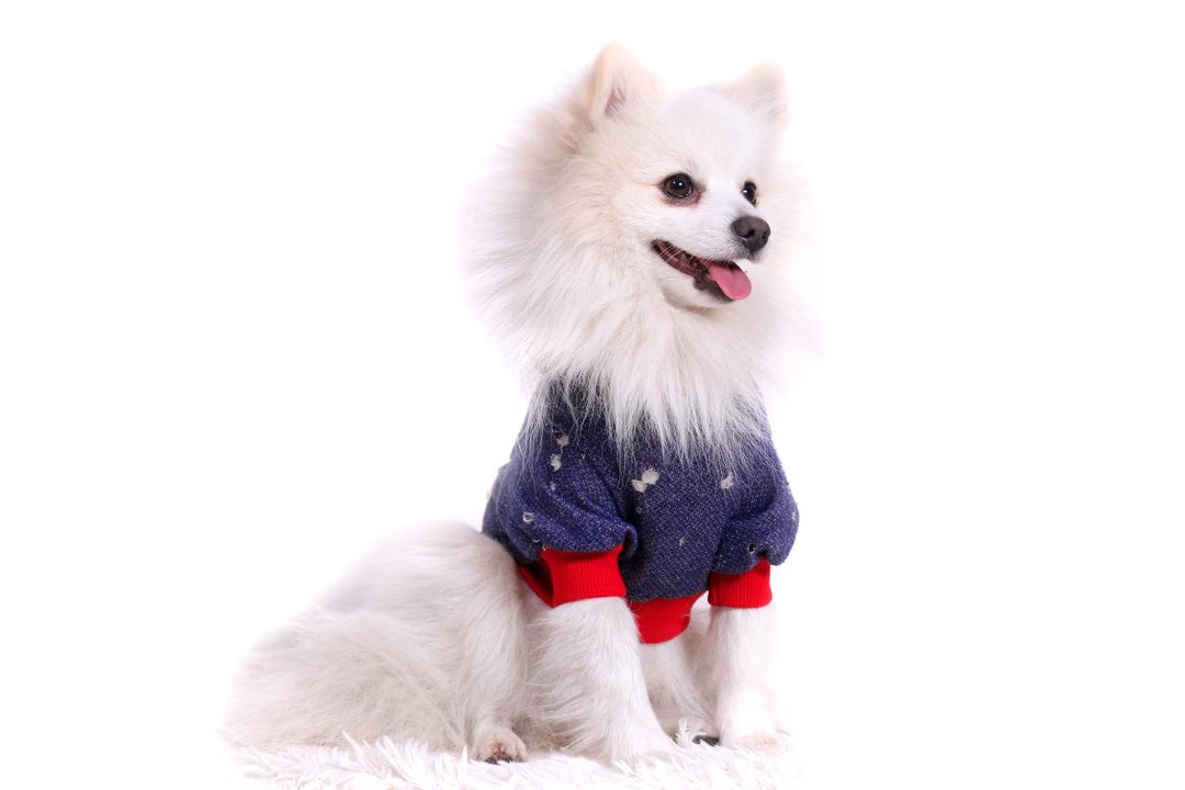 Blue Dog Hoodie Blue Dog Sweater Dog Sweaters for Small Dogs Etsy