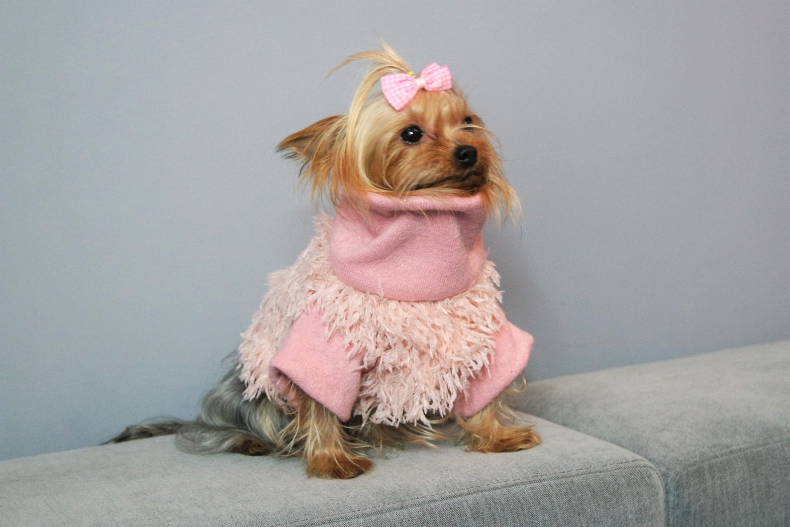 Cute Dog Sweaters Pink Dog Sweater Dog Sweater Small Dog - Etsy