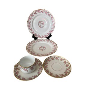 Elite Works Limoges France Pink Rose Porcelain Plates + Teacup & Saucer 5-Pc, Vintage Teacups, Vintage Dessert Plates, Dinnerware Sets