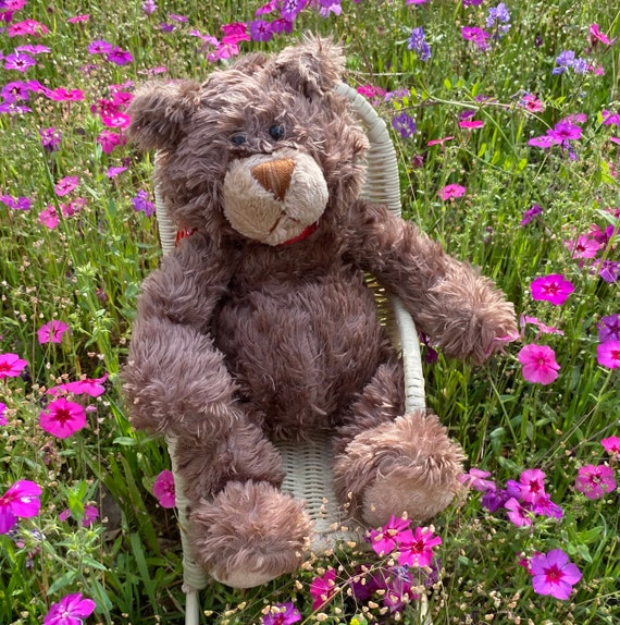 Toyota teddy cheap