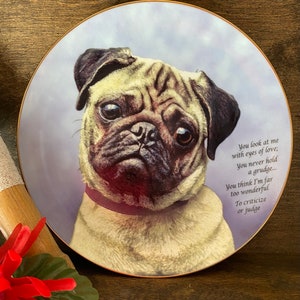 Pug Dog Collector Plate Eyes of Love by The Danbury Mint, Devoted Pugs - Vintage
