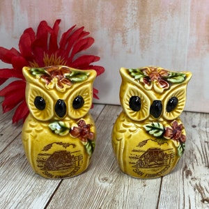 CALIFORNIA Souvenir Owl Salt & Pepper Shakers, Vintage 70s San Francisco Souvenir Salt and Pepper Shakers