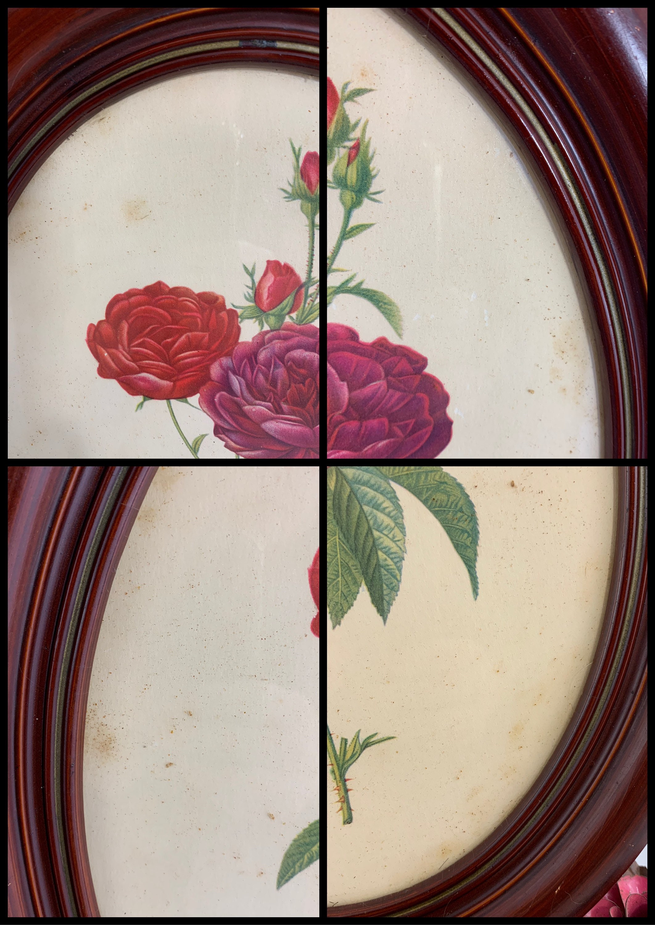 Borin Art Products Chicago 442 Framed Print of Roses Floral Etsy