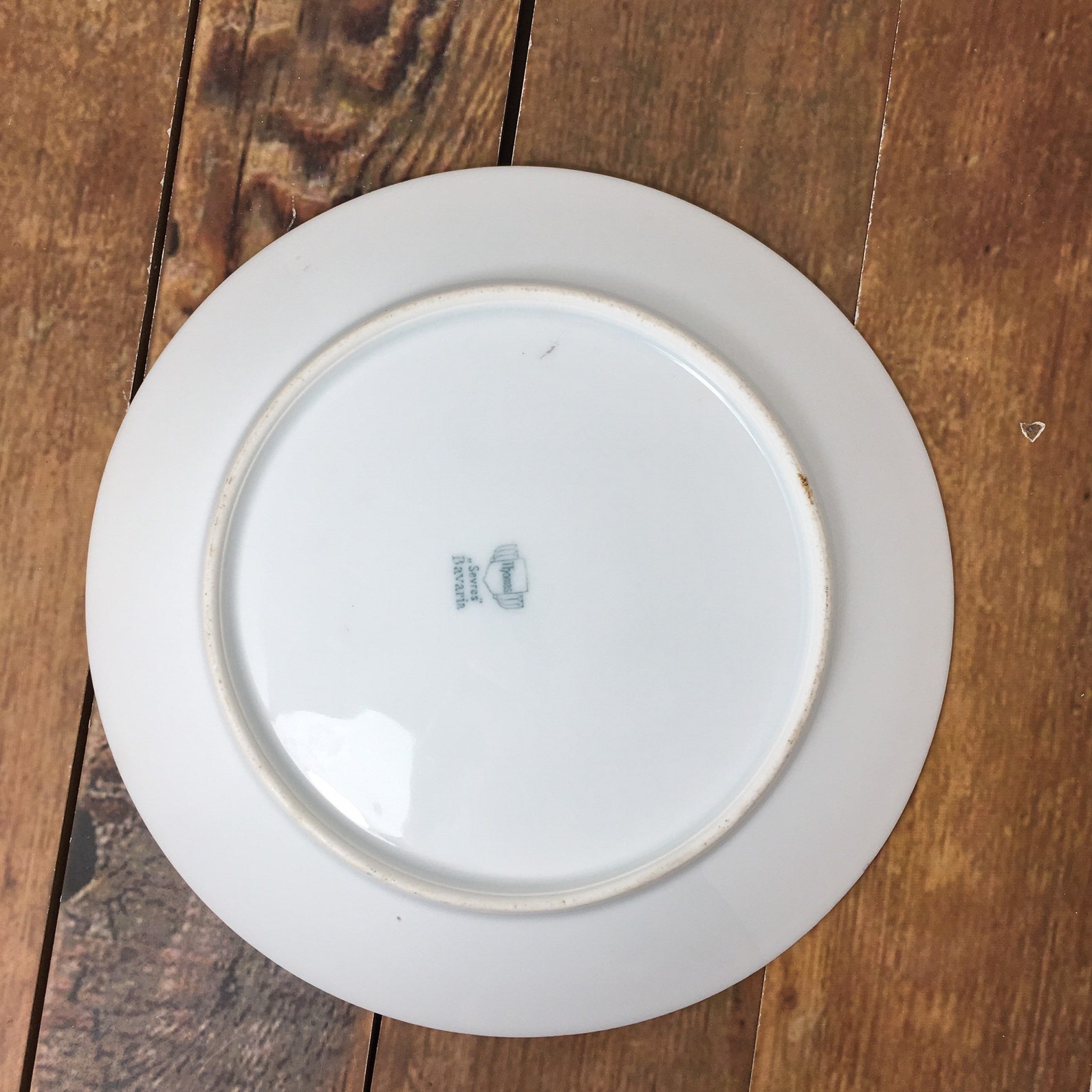 Vintage Decorative Floral Wall Plate Sevres Thomas Bavaria Etsy