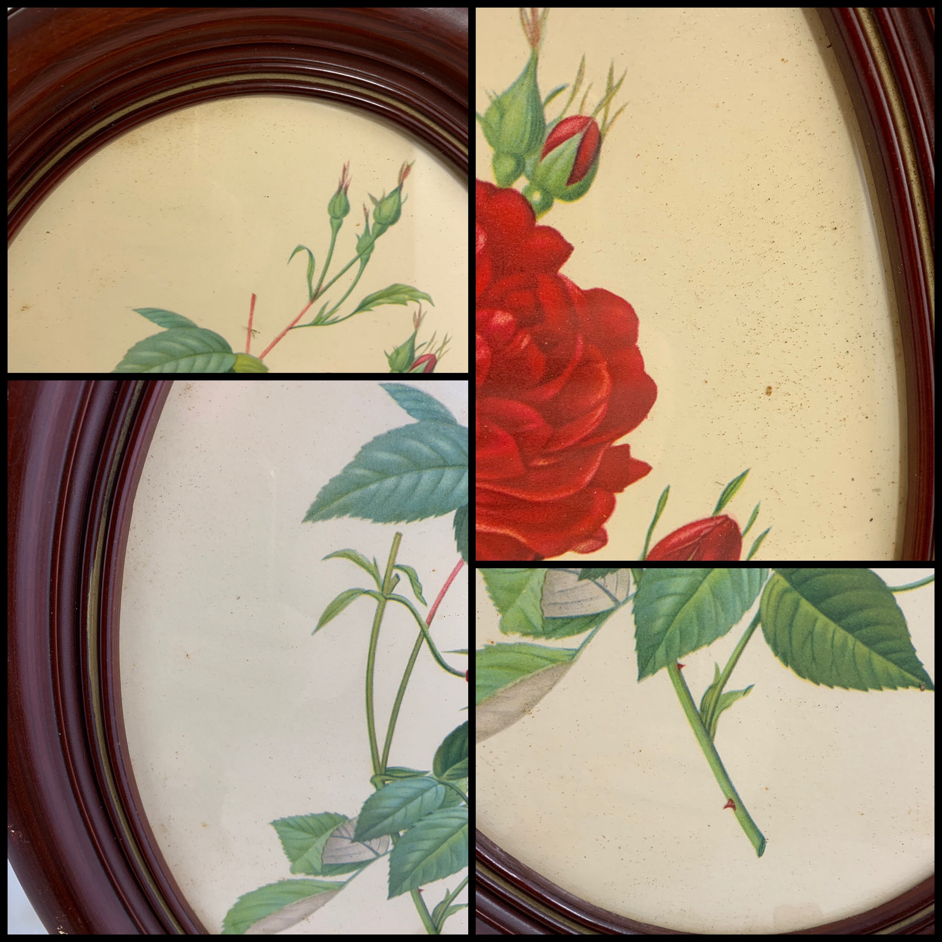 Borin Art Products Chicago 442 Framed Print of Roses Floral Etsy