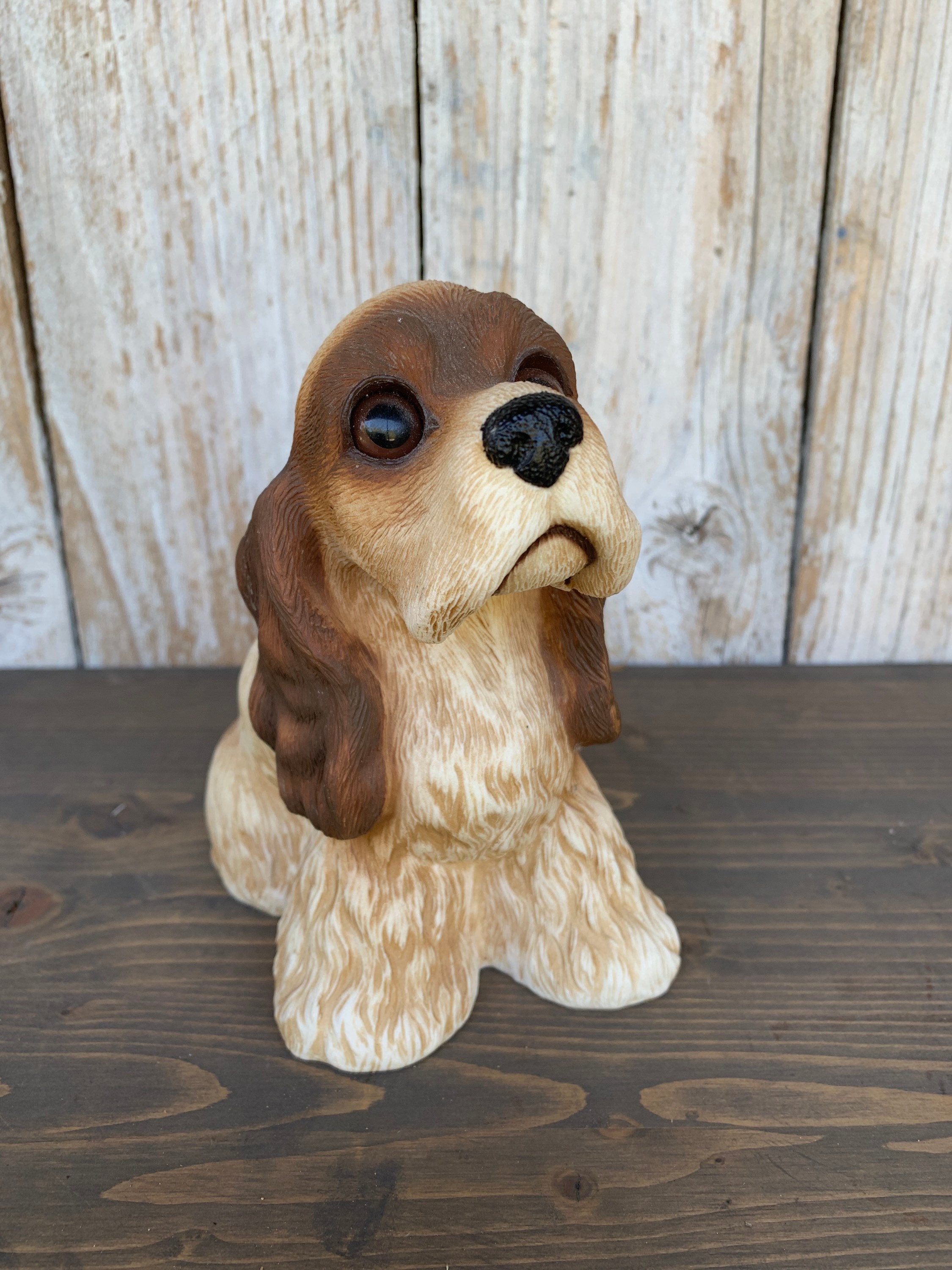Cocker Spaniel Anglais | Caractère, nourriture, santé & prix