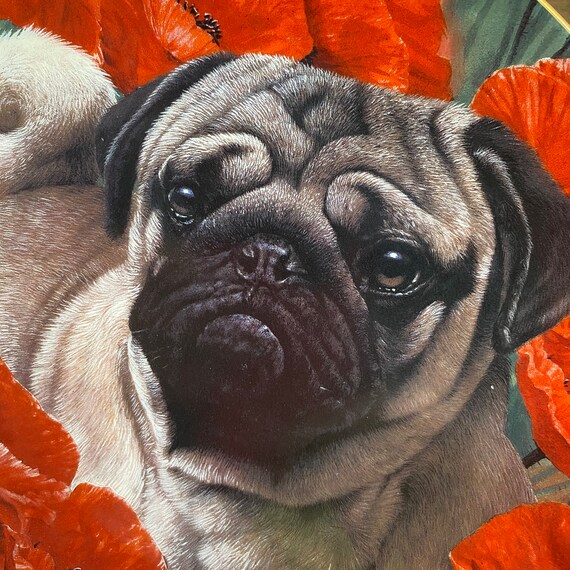pug Vintage Limited Edition Danbury Mint PUGS Plate - “poppy Love” by