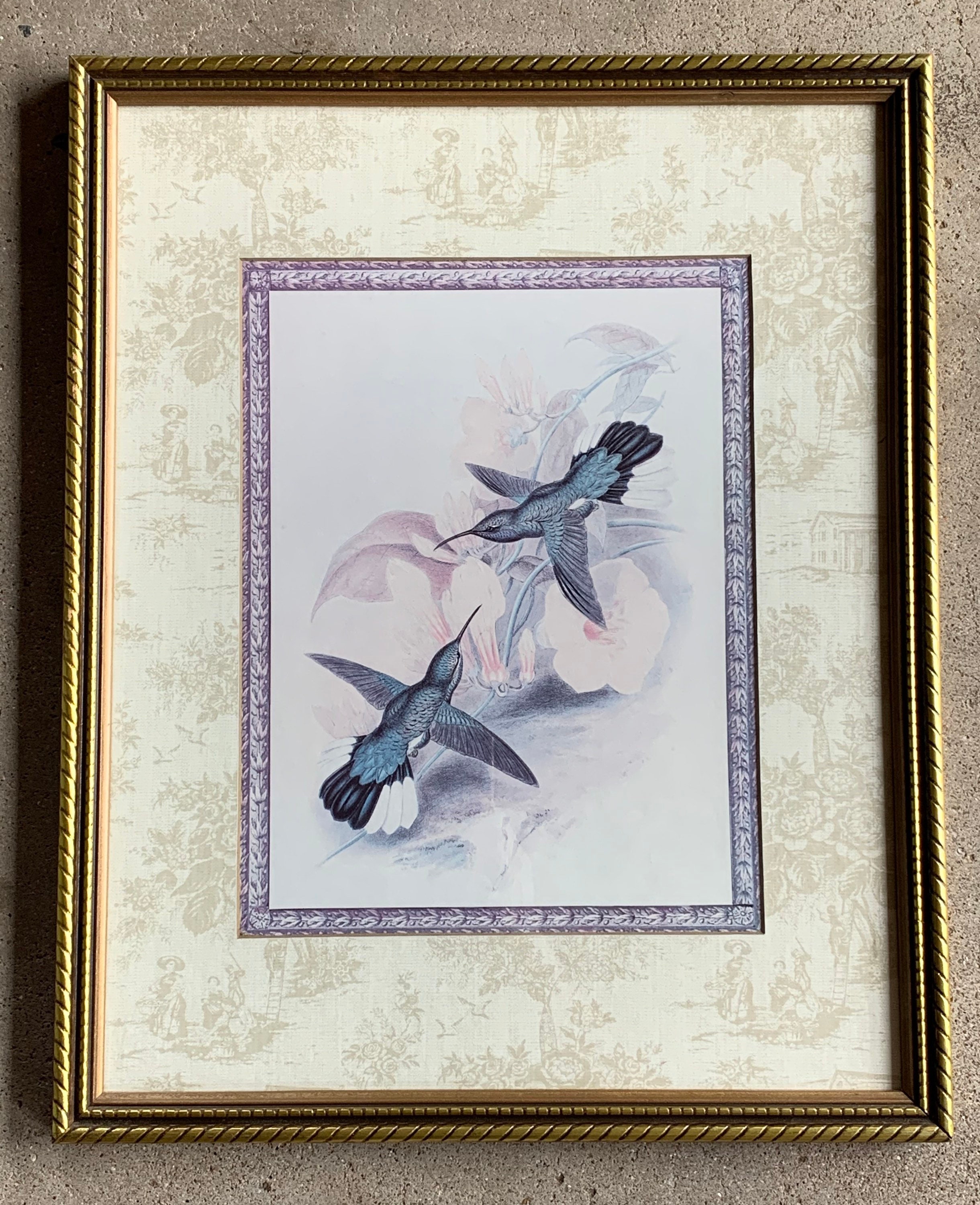 Hummingbird Art Framed Print Etsy