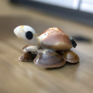 May include: A small, brown and white seashell turtle figurine. The turtle is made of various seashells and has a black eye.